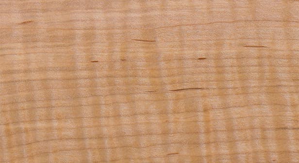 Curly maple wood grain